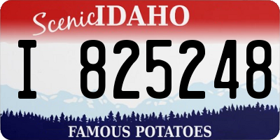 ID license plate I825248
