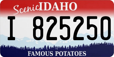 ID license plate I825250