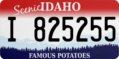 ID license plate I825255