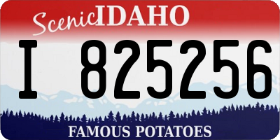 ID license plate I825256