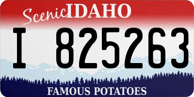 ID license plate I825263