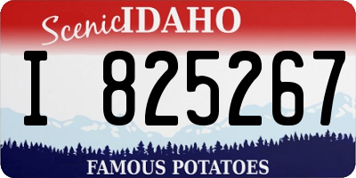 ID license plate I825267