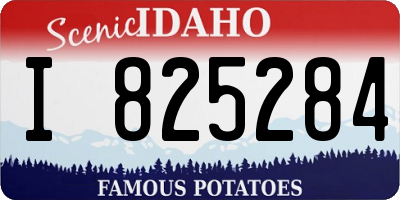 ID license plate I825284
