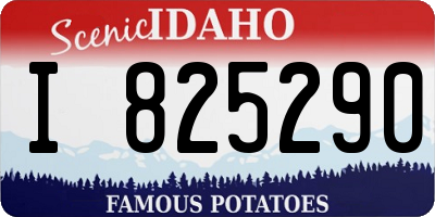 ID license plate I825290