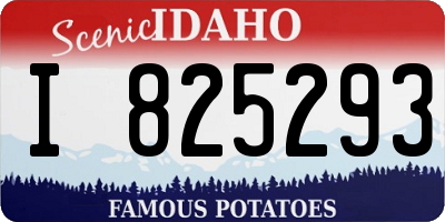 ID license plate I825293