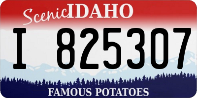 ID license plate I825307
