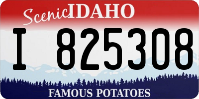 ID license plate I825308