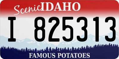 ID license plate I825313