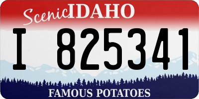 ID license plate I825341
