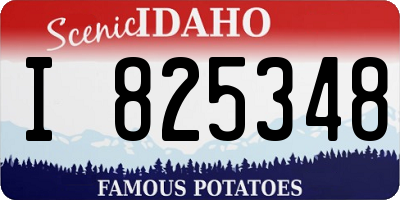 ID license plate I825348