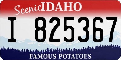 ID license plate I825367
