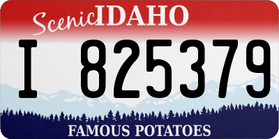ID license plate I825379
