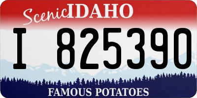 ID license plate I825390
