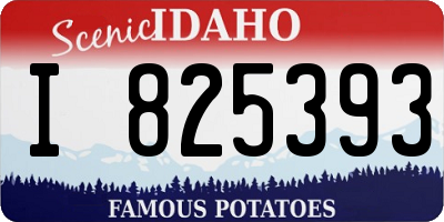 ID license plate I825393