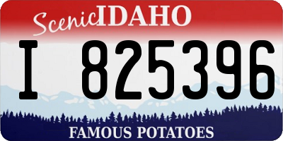 ID license plate I825396
