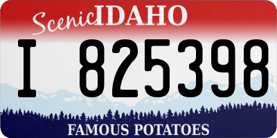 ID license plate I825398