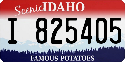 ID license plate I825405