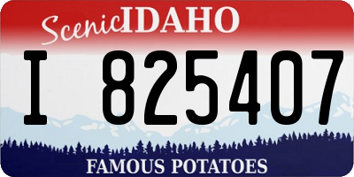 ID license plate I825407
