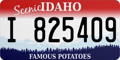 ID license plate I825409