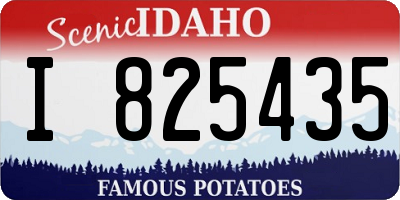 ID license plate I825435