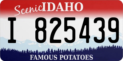 ID license plate I825439