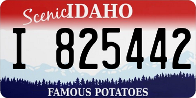 ID license plate I825442