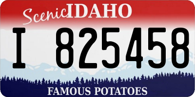 ID license plate I825458