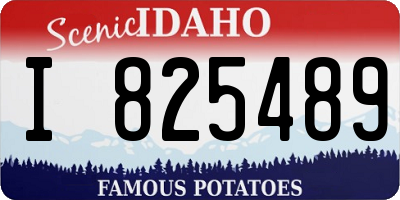 ID license plate I825489