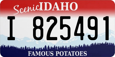 ID license plate I825491
