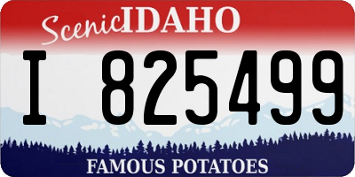 ID license plate I825499