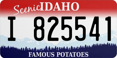 ID license plate I825541