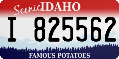 ID license plate I825562