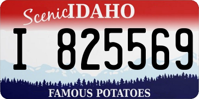 ID license plate I825569