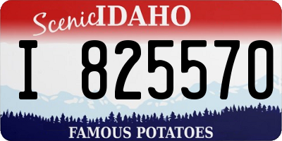 ID license plate I825570