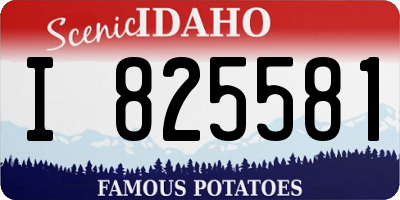 ID license plate I825581