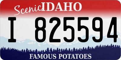 ID license plate I825594