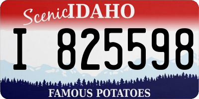 ID license plate I825598