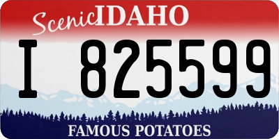 ID license plate I825599