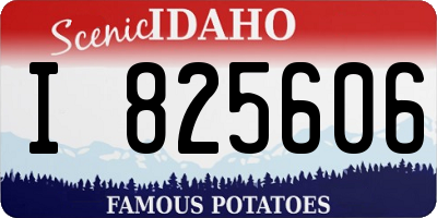 ID license plate I825606