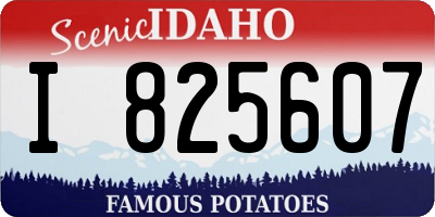ID license plate I825607