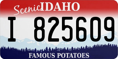 ID license plate I825609