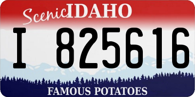 ID license plate I825616