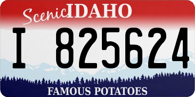 ID license plate I825624