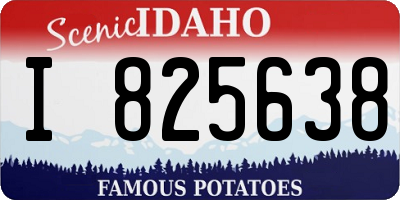 ID license plate I825638