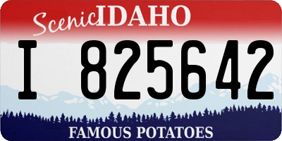 ID license plate I825642