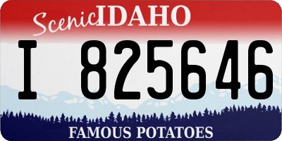 ID license plate I825646