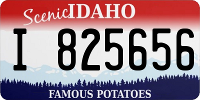 ID license plate I825656
