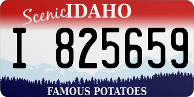 ID license plate I825659
