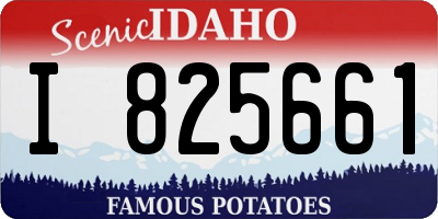ID license plate I825661