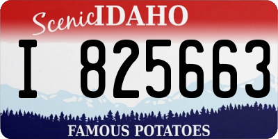 ID license plate I825663